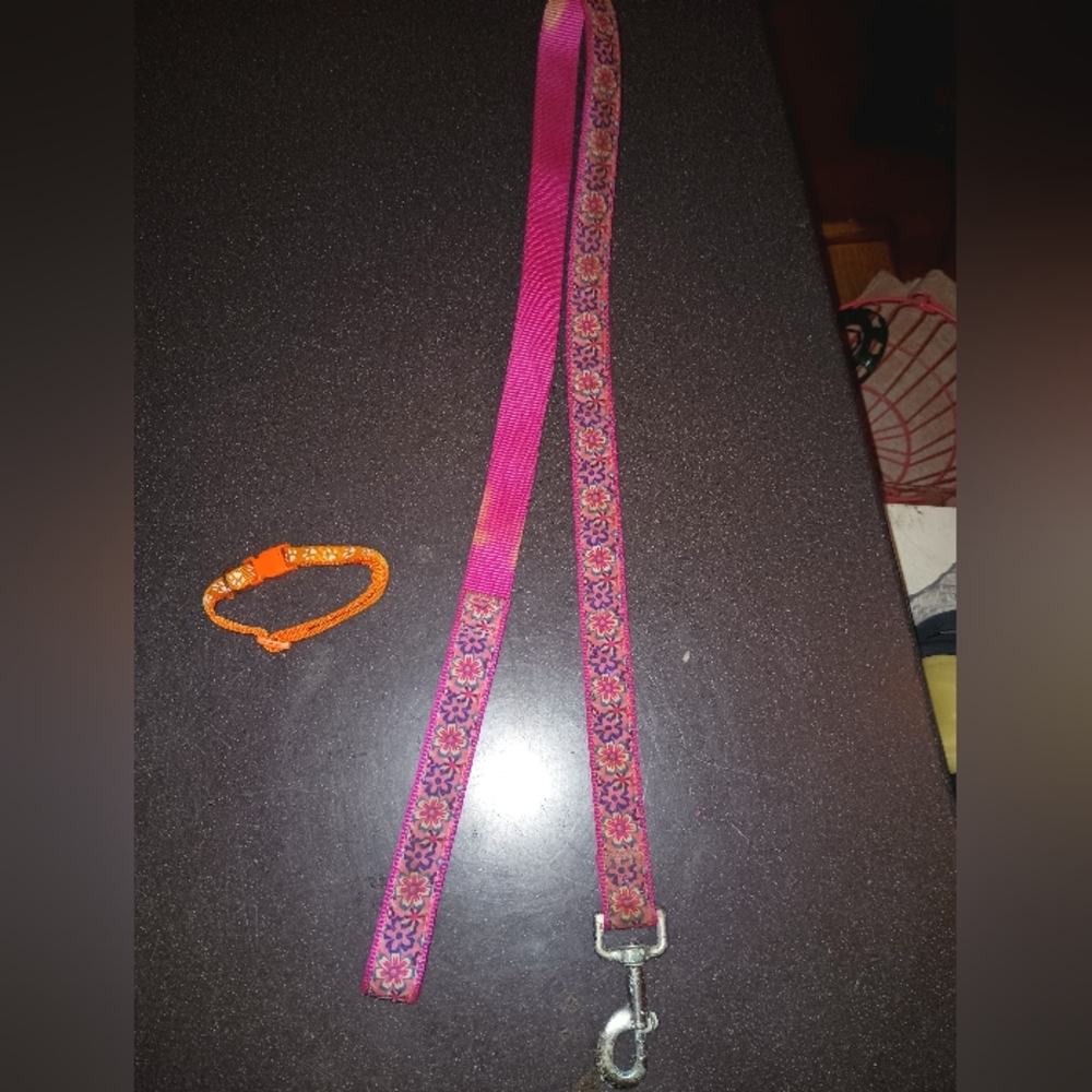 Leashes - Picture 8 of 15